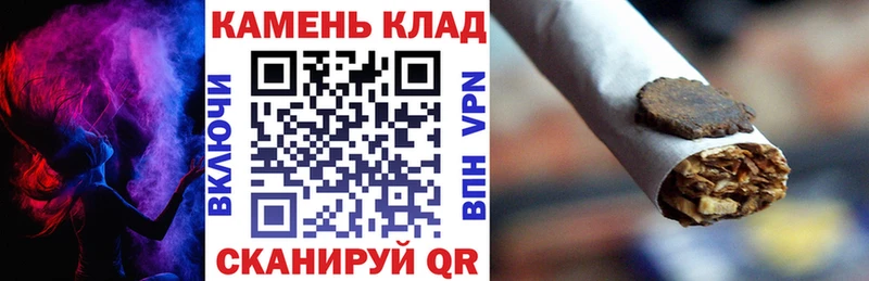 Купить где  Ясный  Гашиш Cannabis 