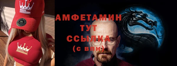 индика Пересвет