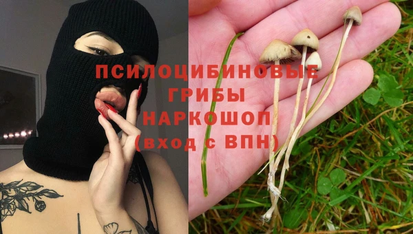 индика Пересвет