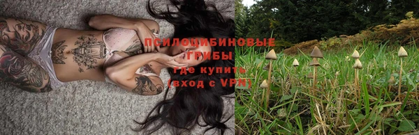 индика Пересвет