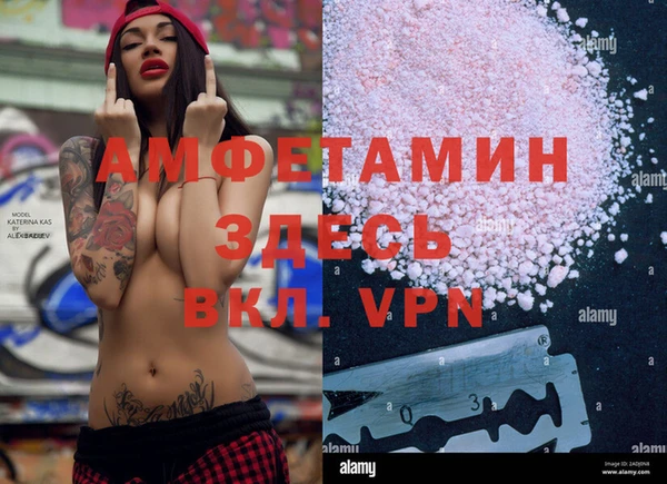 индика Пересвет