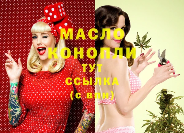 индика Пересвет