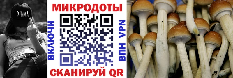 Псилоцибиновые грибы Magic Shrooms  Купить закладки  Ясный 